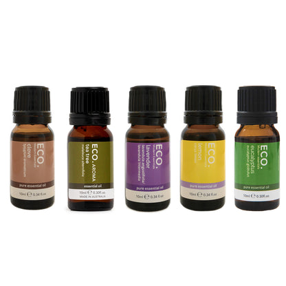 Chantel's Beginners Kit