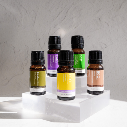 Chantel's Beginners Kit