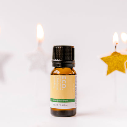 Christmas Favourites Collection