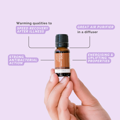 Cinnamon Pure Essential Oil