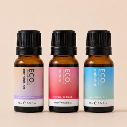 Clean Slate Trio