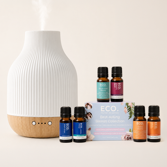 Coastal Diffuser & Best-selling Blends Collection