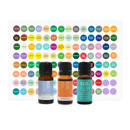 Diffuser Starter Kit