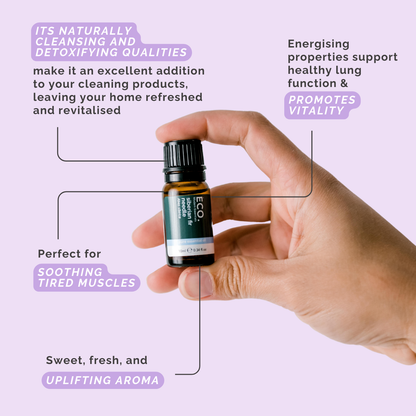 Douglas Fir Essential Oil