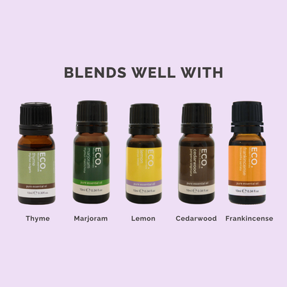 Douglas Fir Essential Oil