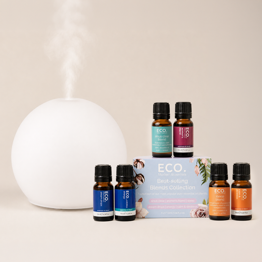 Eclipse Diffuser + Best Selling Blends