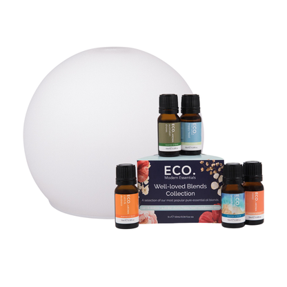 Eclipse Diffuser + Well-loved Blends