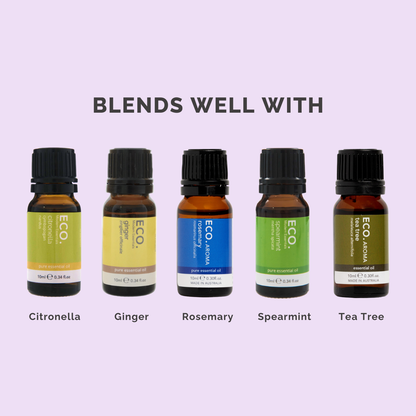 Eucalyptus Pure Essential Oil