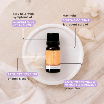 Frankincense Pure Essential Oil