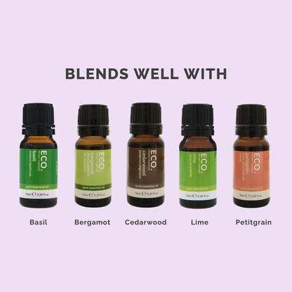 Geranium Pure Essential Oil