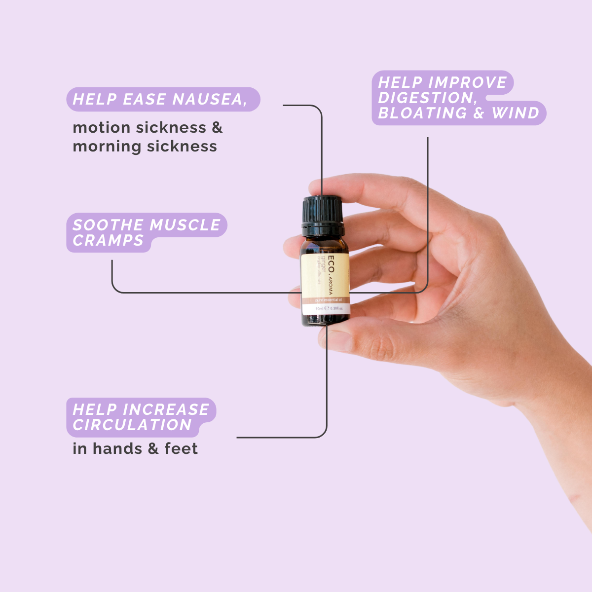 Ginger Pure Essential Oil