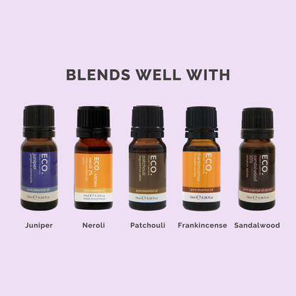 Gurjun Balsam Pure Essential Oil