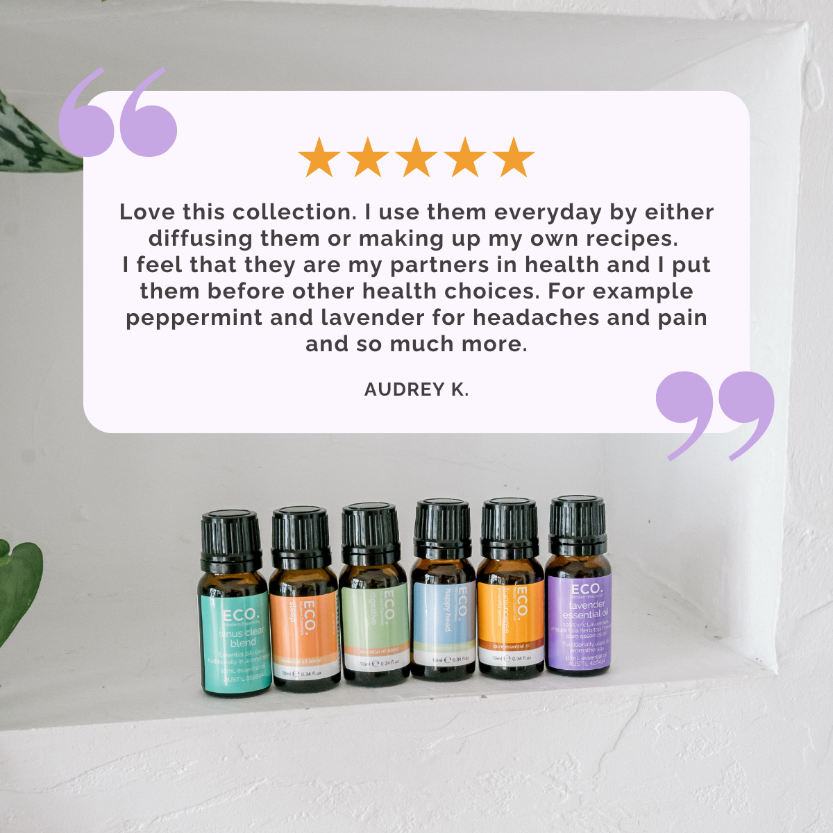Holistic Health Collection