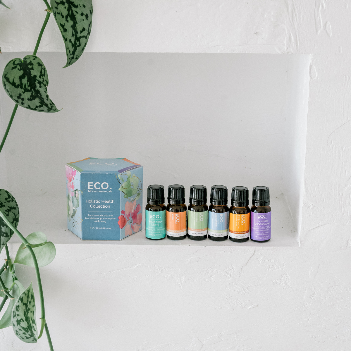 Holistic Health Collection