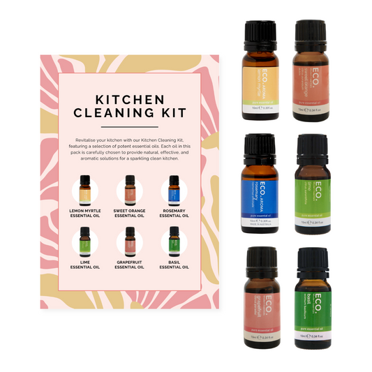 Kitchen Cleaning Kit