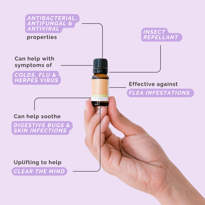 Lemon Myrtle Pure Essential Oil