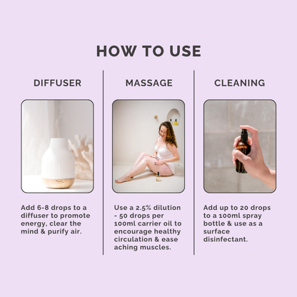 Lime Pure Essential Oil