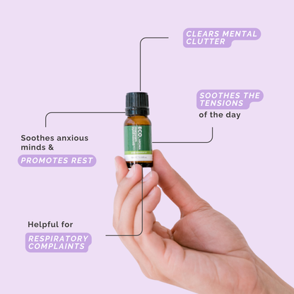 Marjoram (Spanish) Pure Essential Oil