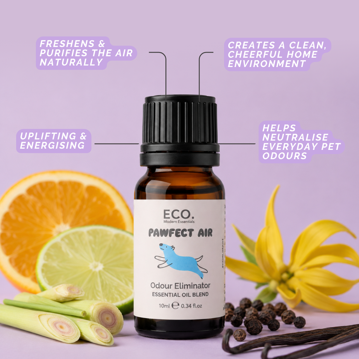 Pet Essentials Trio + Aromatherapy Dog Collar