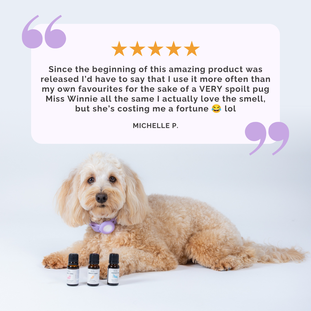 Pawfect Air Essential Oil Blend