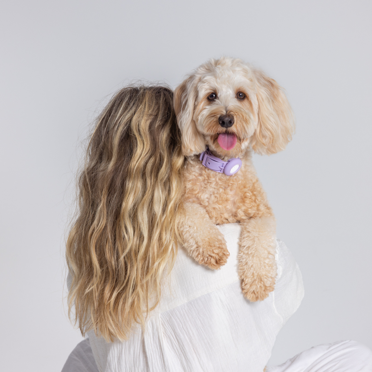 Aromatherapy Dog Collar