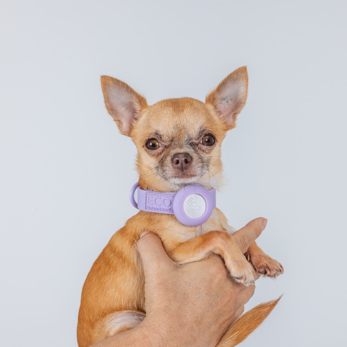 Pet Friendly 6 pack collection + Aromatherapy Dog Collar