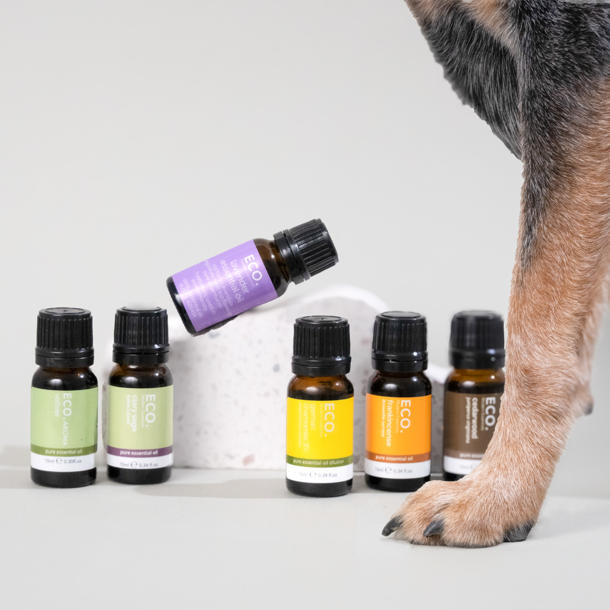 Pet Friendly 6 pack collection + Aromatherapy Dog Collar