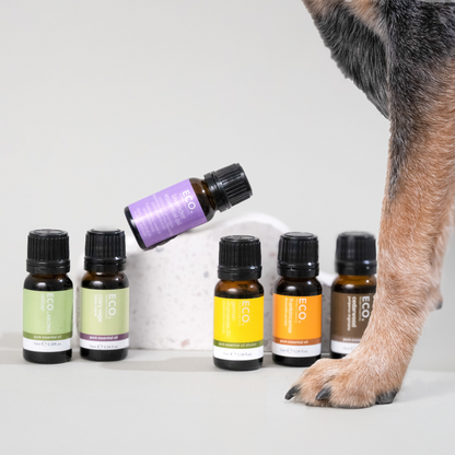Pet Friendly 6 pack collection + Aromatherapy Dog Collar