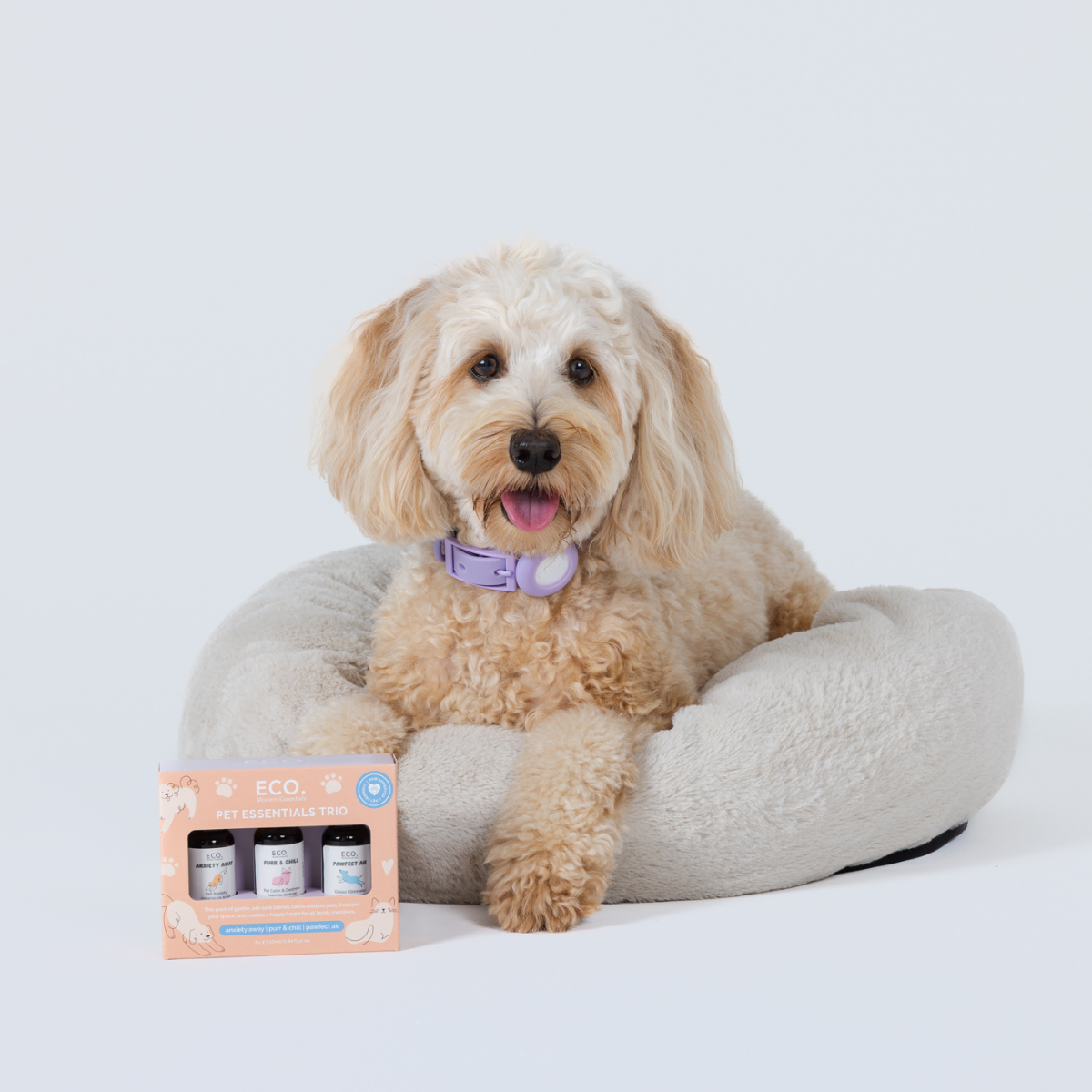 Pet Essentials Trio + Aromatherapy Dog Collar