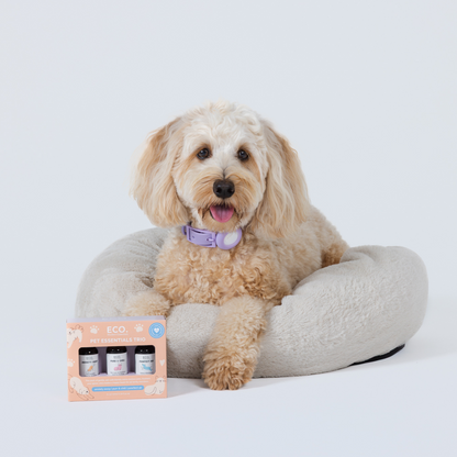 Pet Essentials Trio + Aromatherapy Dog Collar