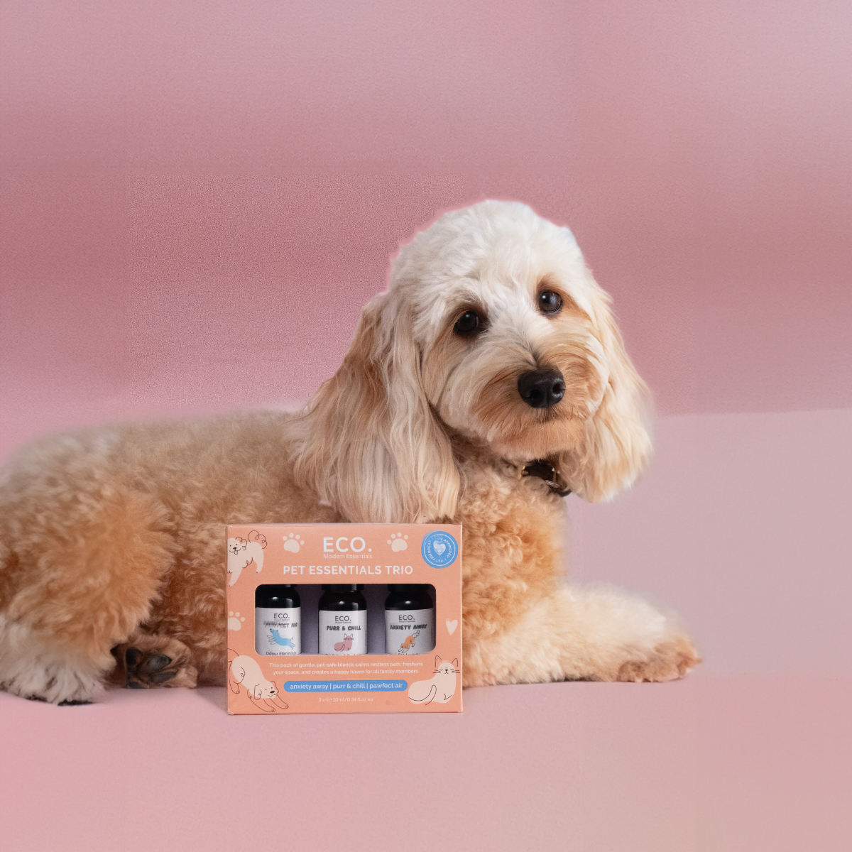 Pet Essentials Trio