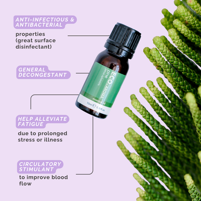 Pine Pure Essential Oil