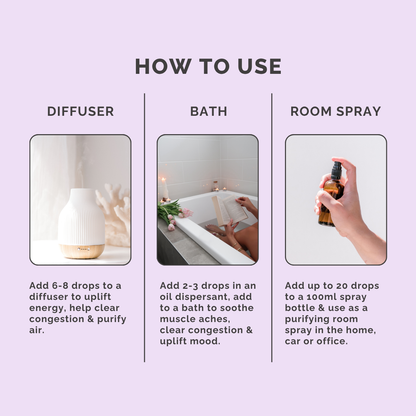 Pine Pure Essential Oil