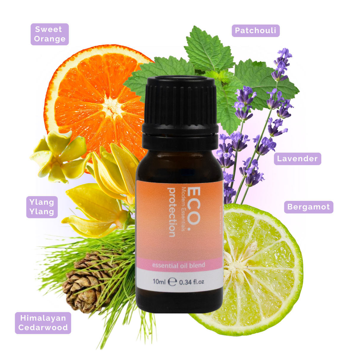 Protection Essential Oil Blend