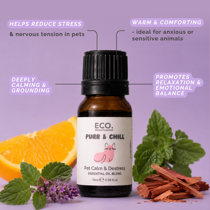 Pet Essentials Trio + Aromatherapy Dog Collar