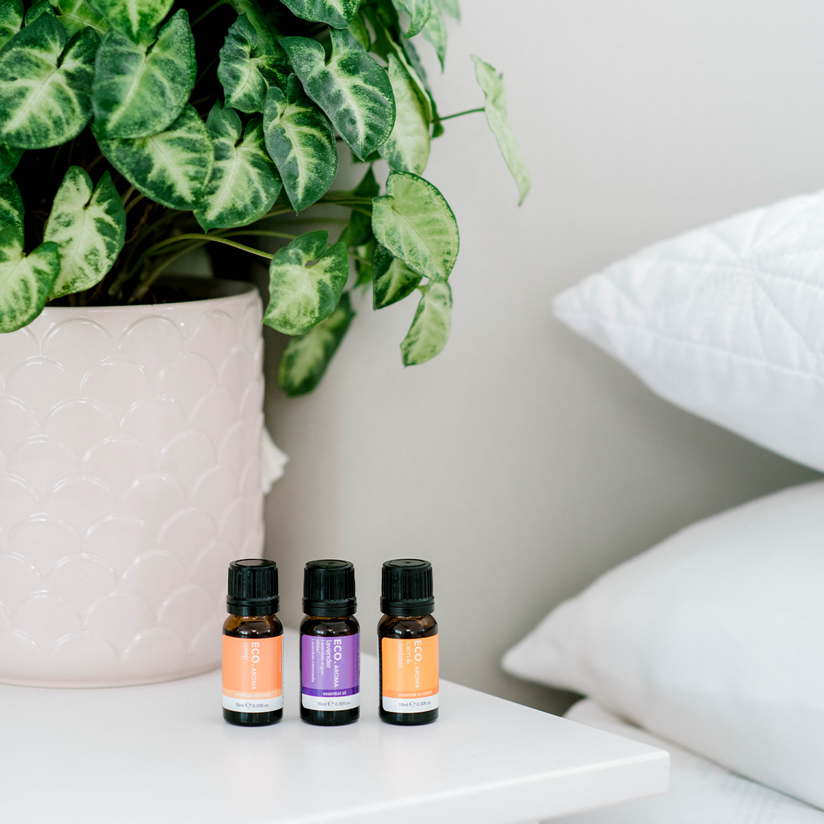 Nebulizing Diffuser & Relax & Unwind Trio Collection