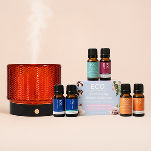 Retro Diffuser + Best Selling Blends Collection