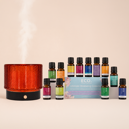 Retro Diffuser + Ultimate Wellbeing Collection