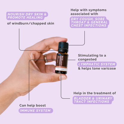 Sandalwood (10%) Essential Oil