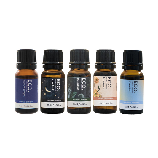 The Dreamer's Collection
