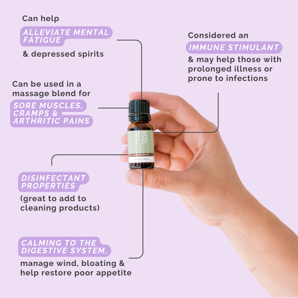 Thyme Pure Essential Oil