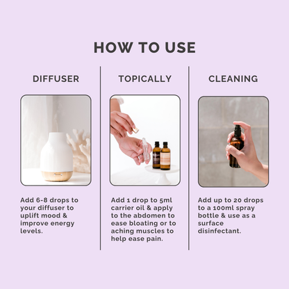 Thyme Pure Essential Oil