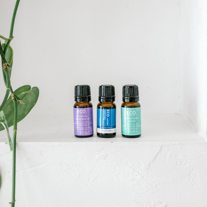 Travel Essentials Essential Oil Trio