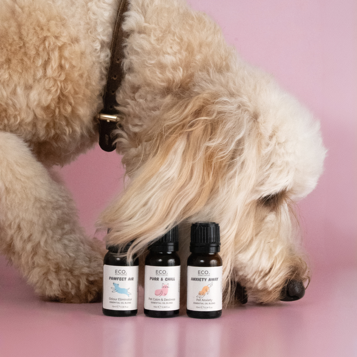 Pet Essentials Trio
