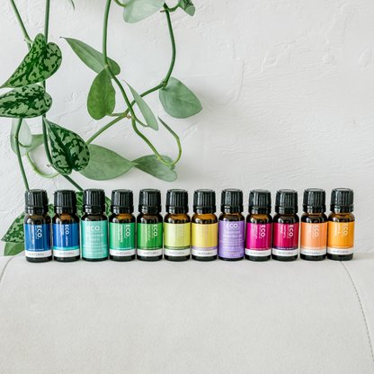 Marble Diffuser + Ultimate Wellbeing 12 Pack Collection