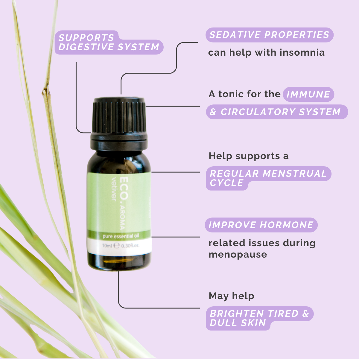 Vetiver Pure Essential Oil