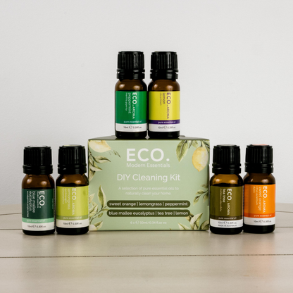 DIY Cleaning Kit DIY Cleaning Kit