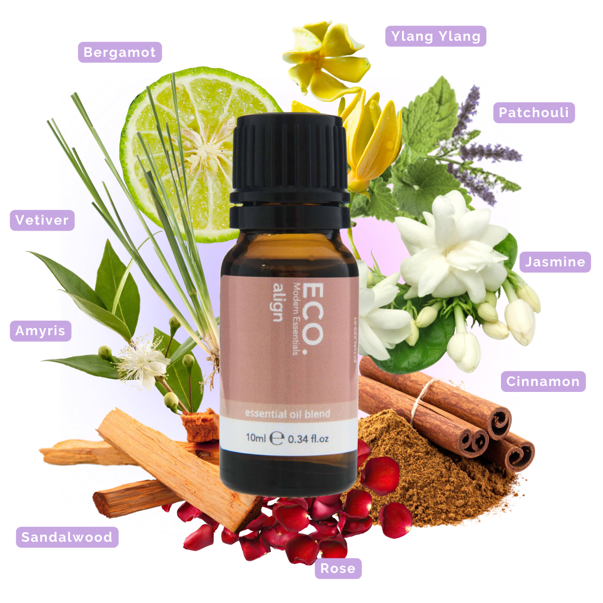 ECO. Oil Club