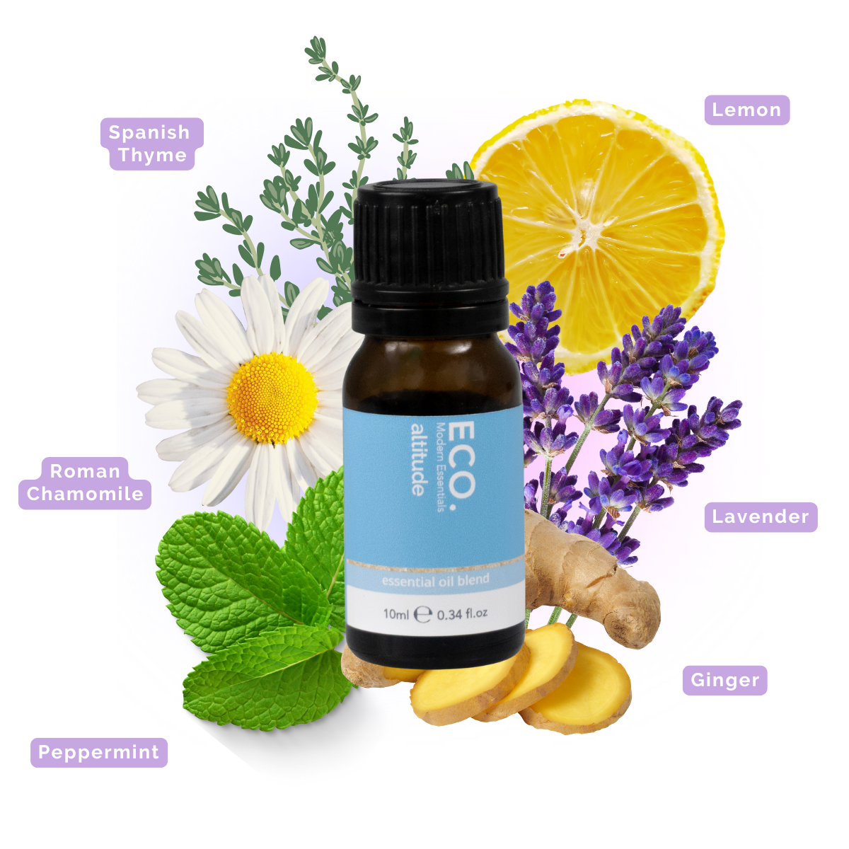 ECO. Ritual Box