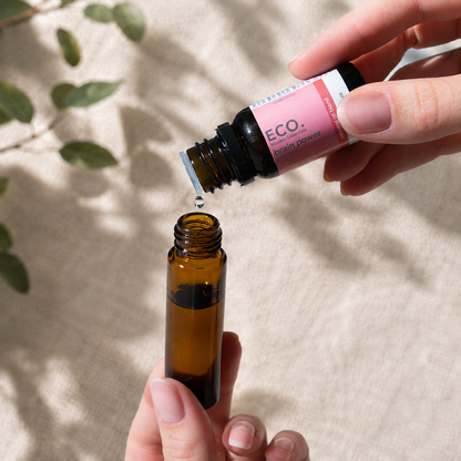 Blend & Go Pack